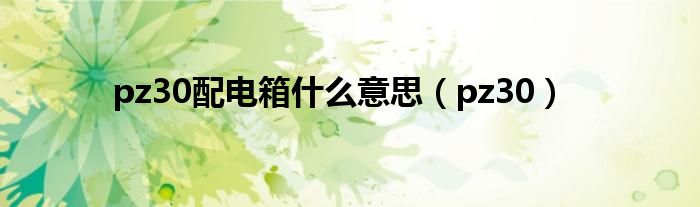 pz30配电箱什么意思（pz30）