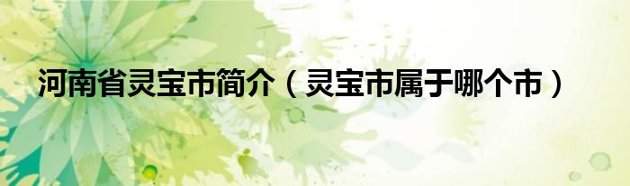 河南省灵宝市简介（灵宝市属于哪个市）