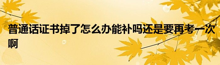 普通话证书掉了怎么办能补吗还是要再考一次啊