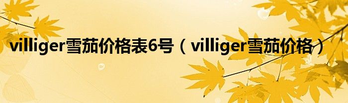 villiger雪茄价格表6号（villiger雪茄价格）
