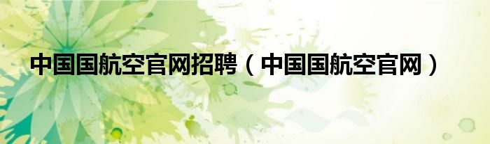 中国国航空官网招聘（中国国航空官网）
