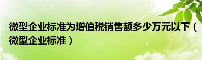 微型企业标准为增值税销售额多少万元以下（微型企业标准）