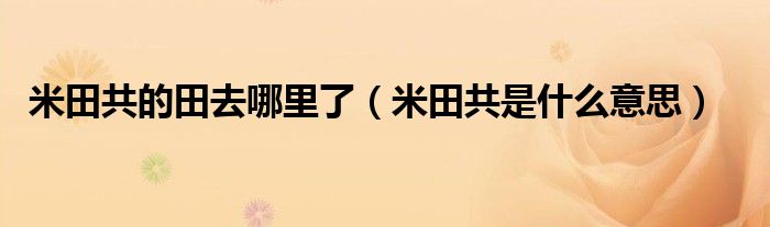 米田共的田去哪里了（米田共是什么意思）