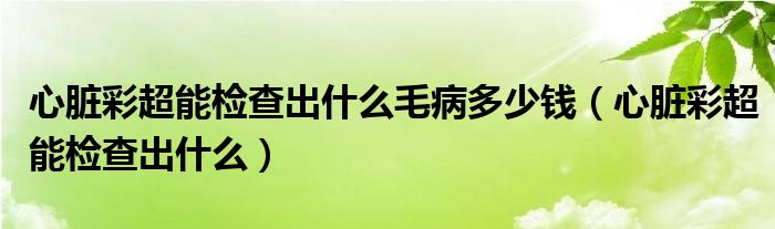 心脏彩超能检查出什么毛病多少钱（心脏彩超能检查出什么）