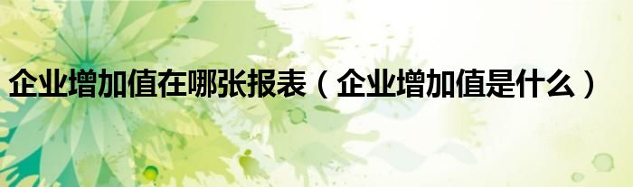 企业增加值在哪张报表（企业增加值是什么）