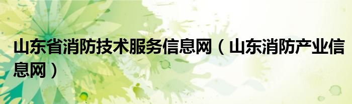 山东省消防技术服务信息网（山东消防产业信息网）