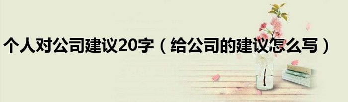 个人对公司建议20字（给公司的建议怎么写）