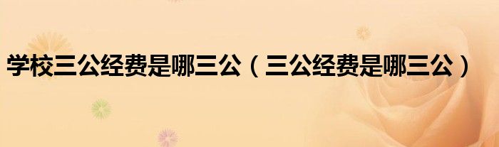 学校三公经费是哪三公（三公经费是哪三公）