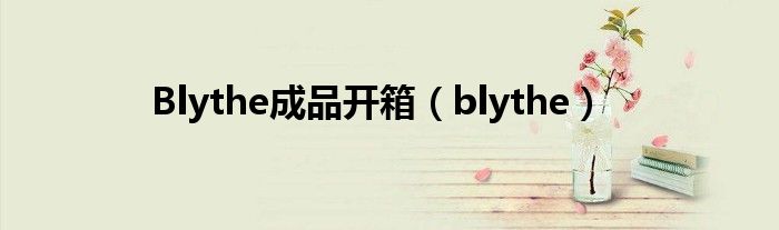 Blythe成品开箱（blythe）