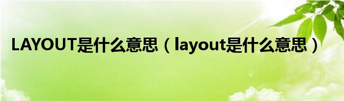LAYOUT是什么意思（layout是什么意思）