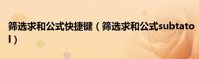 筛选求和公式快捷键（筛选求和公式subtatol）