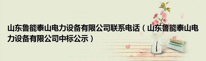 山东鲁能泰山电力设备有限公司联系电话（山东鲁能泰山电力设备有限公司中标公示）