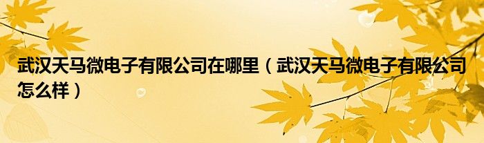武汉天马微电子有限公司在哪里（武汉天马微电子有限公司怎么样）