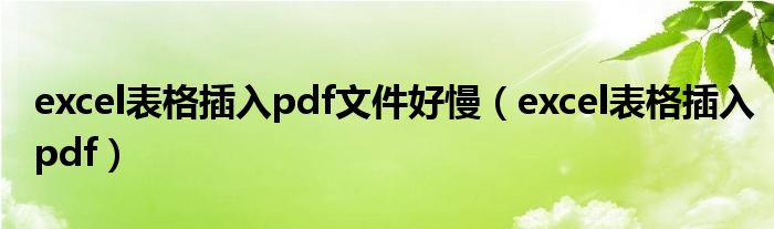 excel表格插入pdf文件好慢（excel表格插入pdf）