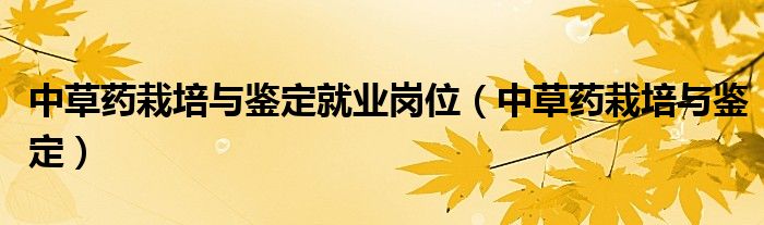中草药栽培与鉴定就业岗位（中草药栽培与鉴定）