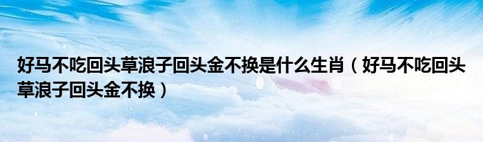 好马不吃回头草浪子回头金不换是什么生肖（好马不吃回头草浪子回头金不换）