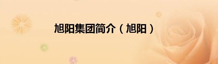旭阳集团简介（旭阳）