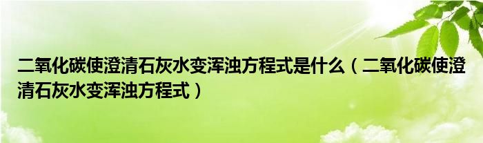 二氧化碳使澄清石灰水变浑浊方程式是什么（二氧化碳使澄清石灰水变浑浊方程式）
