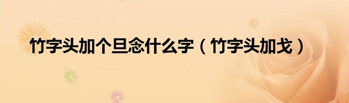 竹字头加个旦念什么字（竹字头加戈）