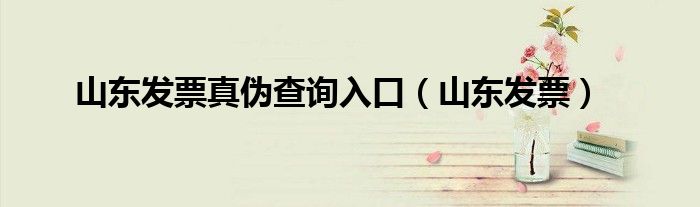 山东发票真伪查询入口（山东发票）