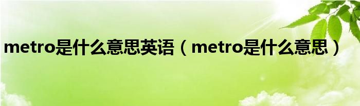 metro是什么意思英语（metro是什么意思）