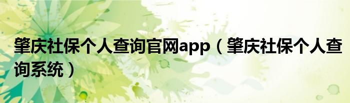 肇庆社保个人查询官网app（肇庆社保个人查询系统）
