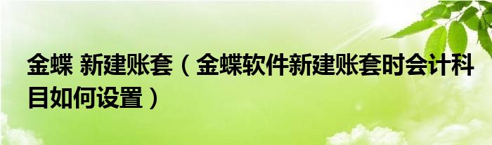 金蝶 新建账套（金蝶软件新建账套时会计科目如何设置）