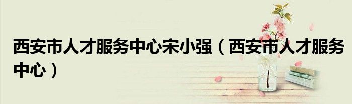 西安市人才服务中心宋小强（西安市人才服务中心）