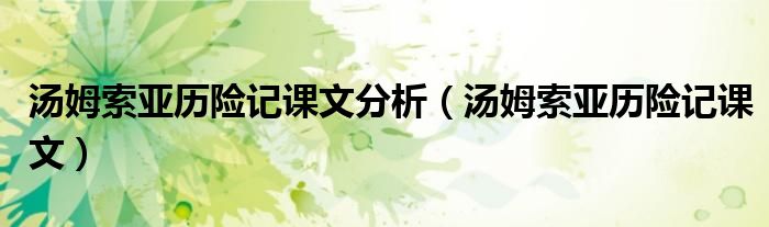 汤姆索亚历险记课文分析（汤姆索亚历险记课文）