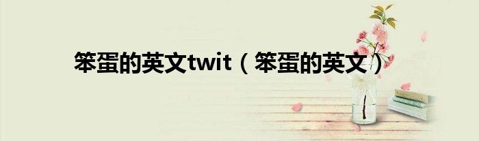 笨蛋的英文twit（笨蛋的英文）