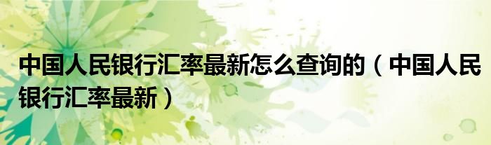 中国人民银行汇率最新怎么查询的（中国人民银行汇率最新）
