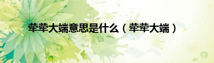 荦荦大端意思是什么（荦荦大端）