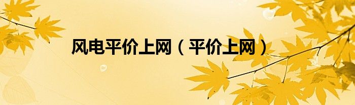 风电平价上网（平价上网）