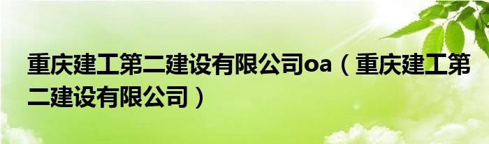 重庆建工第二建设有限公司oa（重庆建工第二建设有限公司）