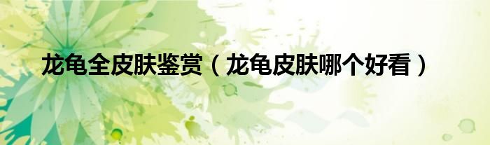 龙龟全皮肤鉴赏（龙龟皮肤哪个好看）