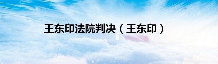 王东印法院判决（王东印）