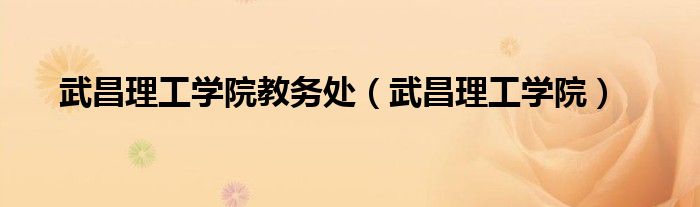 武昌理工学院教务处（武昌理工学院）