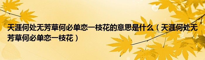 天涯何处无芳草何必单恋一枝花的意思是什么（天涯何处无芳草何必单恋一枝花）