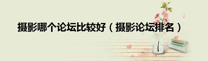 摄影哪个论坛比较好（摄影论坛排名）
