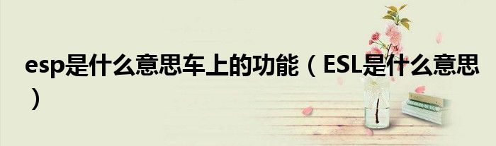 esp是什么意思车上的功能（ESL是什么意思）