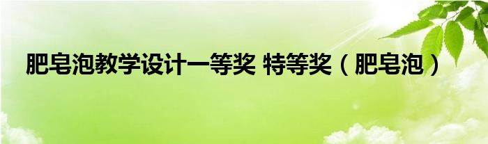 肥皂泡教学设计一等奖 特等奖（肥皂泡）