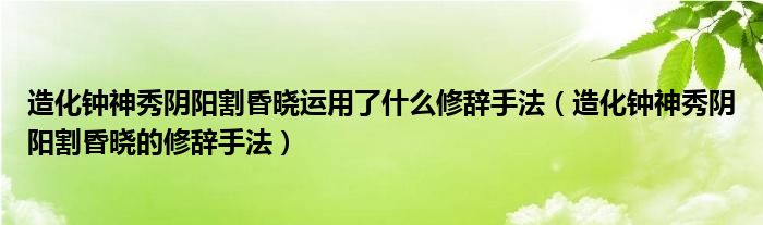 造化钟神秀阴阳割昏晓运用了什么修辞手法（造化钟神秀阴阳割昏晓的修辞手法）
