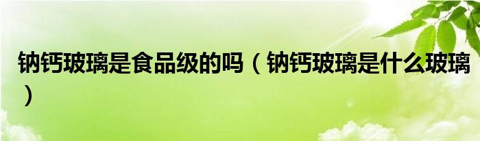 钠钙玻璃是食品级的吗（钠钙玻璃是什么玻璃）