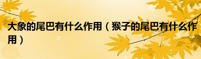 大象的尾巴有什么作用（猴子的尾巴有什么作用）