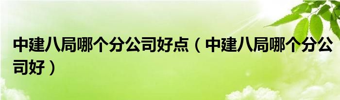 中建八局哪个分公司好点（中建八局哪个分公司好）