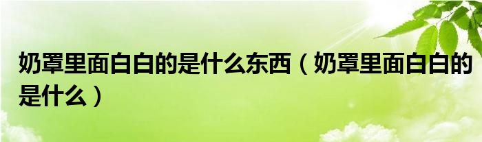 奶罩里面白白的是什么东西（奶罩里面白白的是什么）