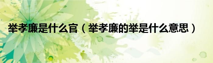 举孝廉是什么官（举孝廉的举是什么意思）