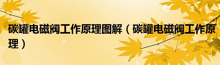 碳罐电磁阀工作原理图解（碳罐电磁阀工作原理）