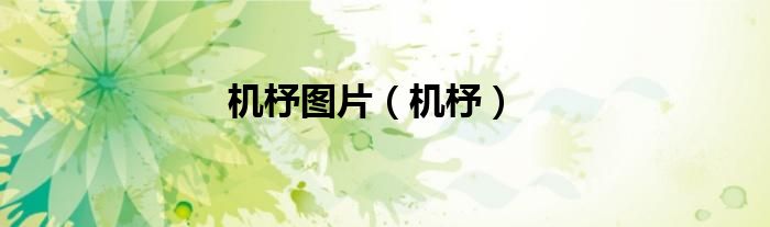 机杼图片（机杼）