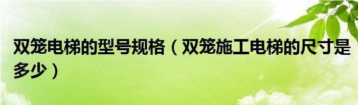 双笼电梯的型号规格（双笼施工电梯的尺寸是多少）